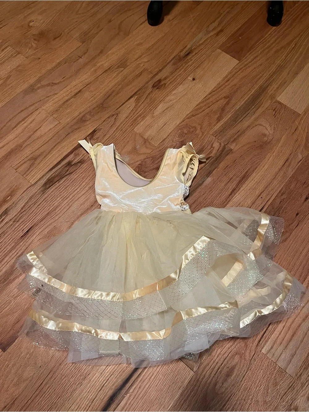 Weissman “A World Above” Dance Costume